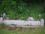 image of grave number 954139
